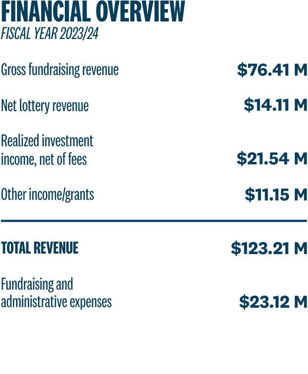 Financial Overview Chart