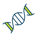 DNA Strand